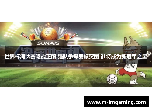 世界杯淘汰赛激战正酣 强队争锋弱旅突围 谁将成为新冠军之星