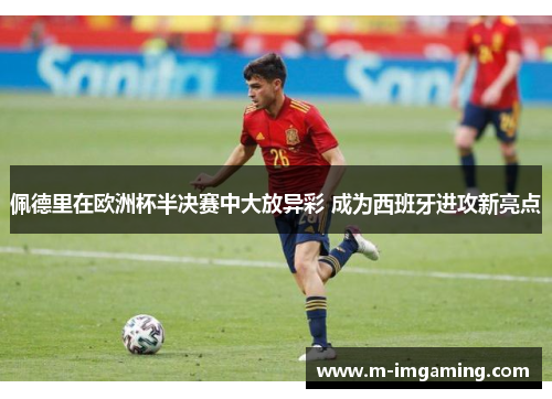 佩德里在欧洲杯半决赛中大放异彩 成为西班牙进攻新亮点
