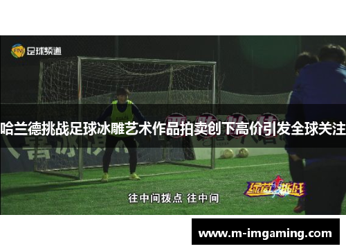 哈兰德挑战足球冰雕艺术作品拍卖创下高价引发全球关注