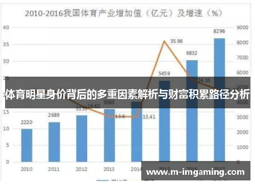 体育明星身价背后的多重因素解析与财富积累路径分析