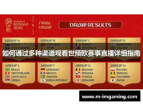 如何通过多种渠道观看世预欧赛事直播详细指南