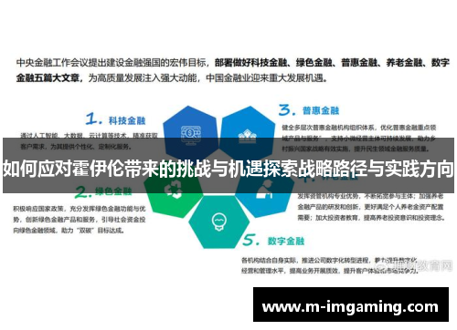 如何应对霍伊伦带来的挑战与机遇探索战略路径与实践方向