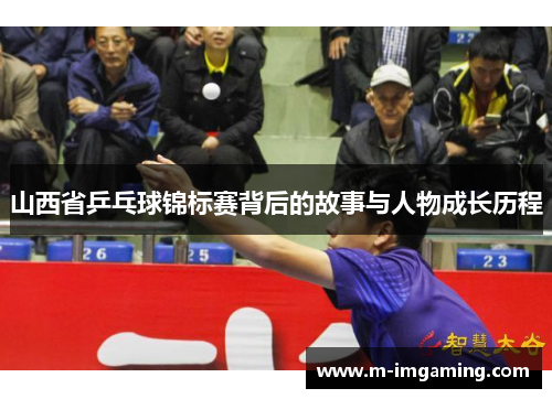 山西省乒乓球锦标赛背后的故事与人物成长历程