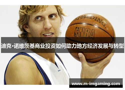 迪克·诺维茨基商业投资如何助力地方经济发展与转型